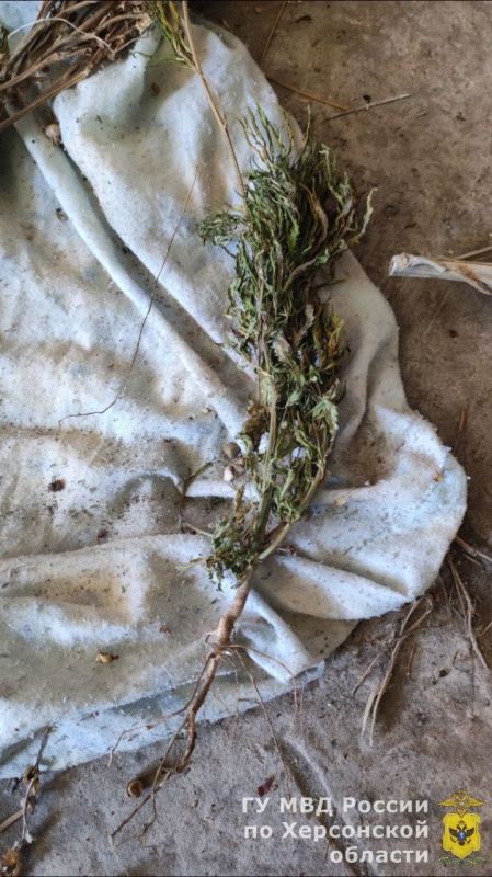 � ���� �������������� ���������� ������� ����������� ������ � ���� ������� ������� ����� ����� �������