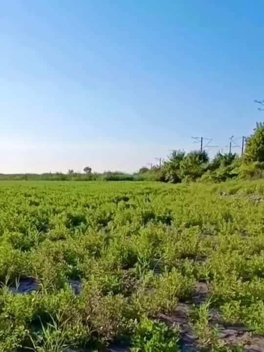 ����� � ������� ���������� �������������