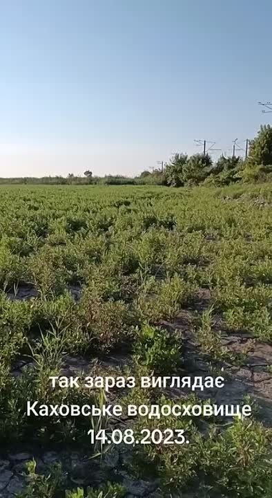 ����� ������� ��� ���������� �������������, ������������ ������� ����� ���������