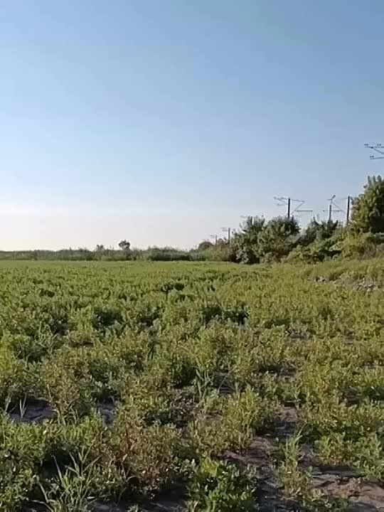 ��� ���������� �������������