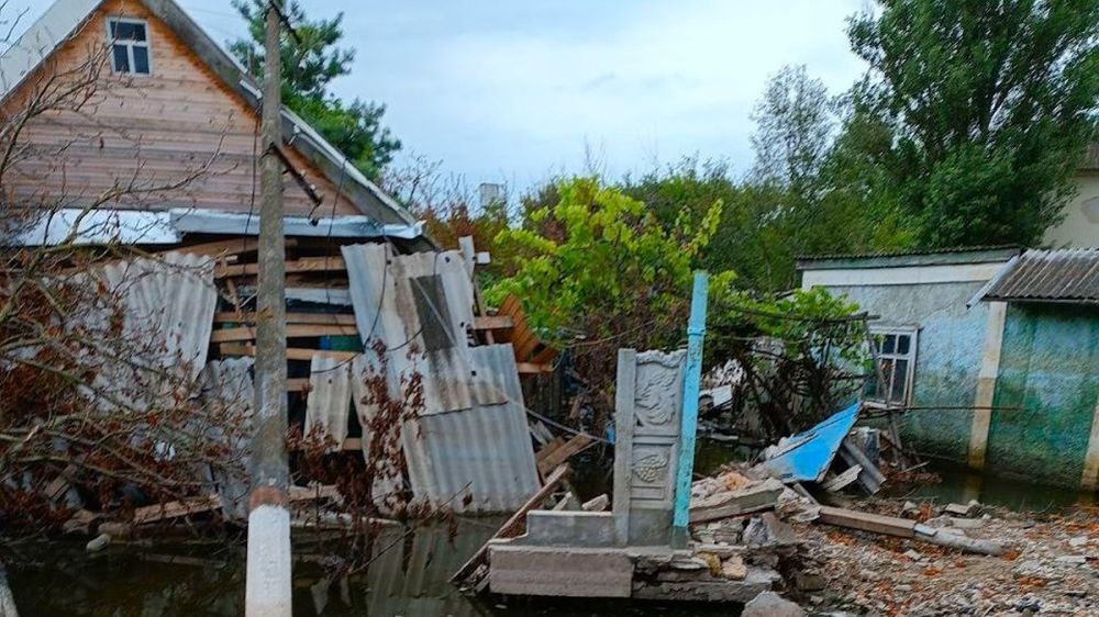 ����� ������-���������, 41 ����� ����������: ��� �������� � ���������� ��������� ��� �� 17 �������