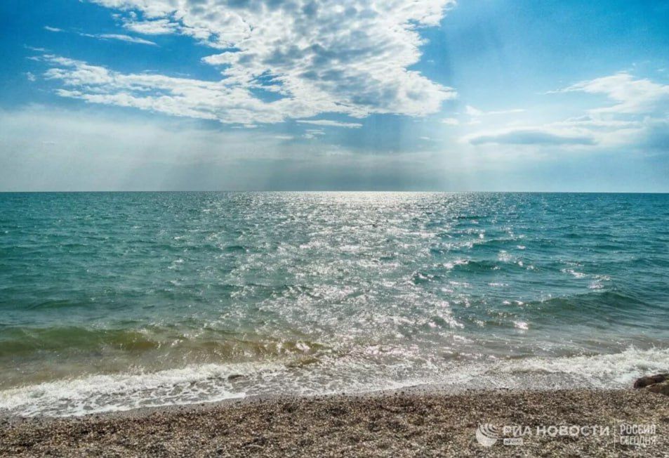 ������ � ����� �������� ������