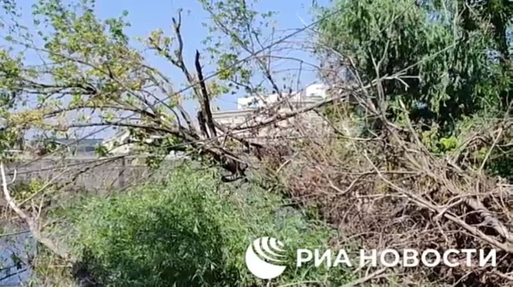 ����� ���������� ����������� ����� "�����" ���������� ��� ������� �� ���������� � ������ ��������� ���