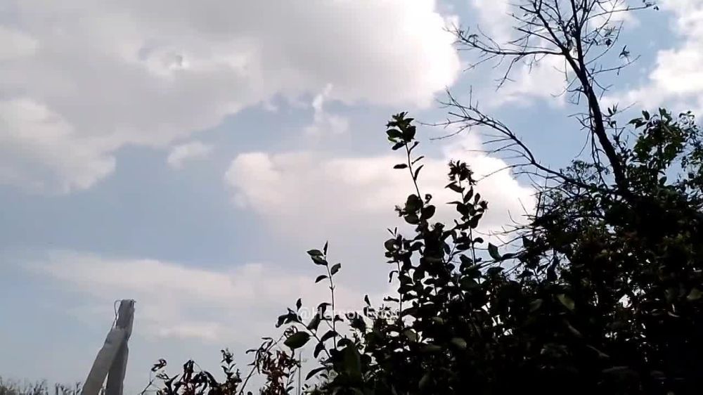 ���� �� �������: ������, ������ � ������� ��� ����� ����� ��, ������������� � ������� ������ � ��� � ����� ����� �� ������ �������� ������