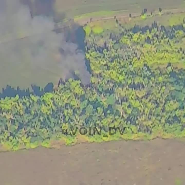 ��� "������-10" ��� �������� "������������" ��� "�����-10"