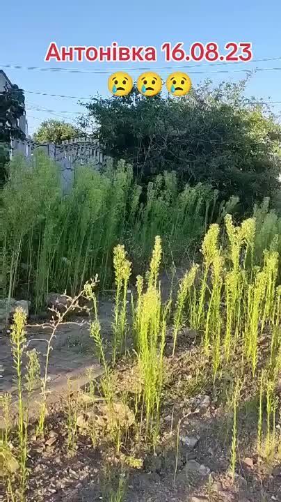 � �� ��� ������.... ���������, ����� �� ���������, ��� ���� �����, � ��� �� ��� ��������� ���������������