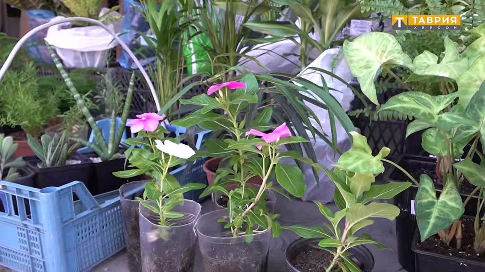 � ���������� ������� ��������� ����� �� ���������� �������������� ���������� � ������� ������������� �������