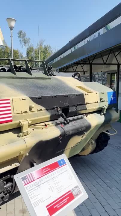 ���������� ��: ���������� � ������: ��� ������ ������������� ����������������� �-113