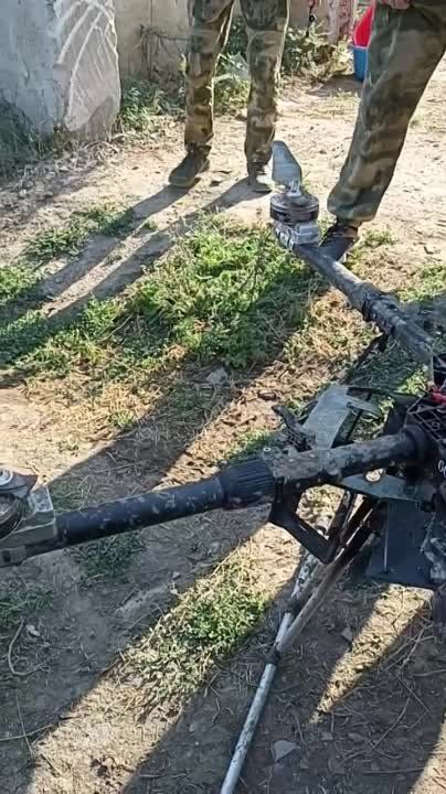 ������������� ����������� ������ �������� ���������� ������������