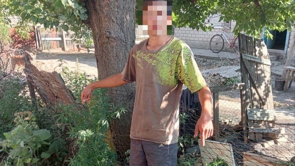 � ���� ������� ����������� ������ ������ ������ ����� �������