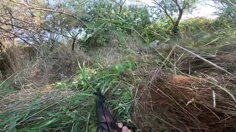 ��������� �������� �� ��볺�� ���� UA