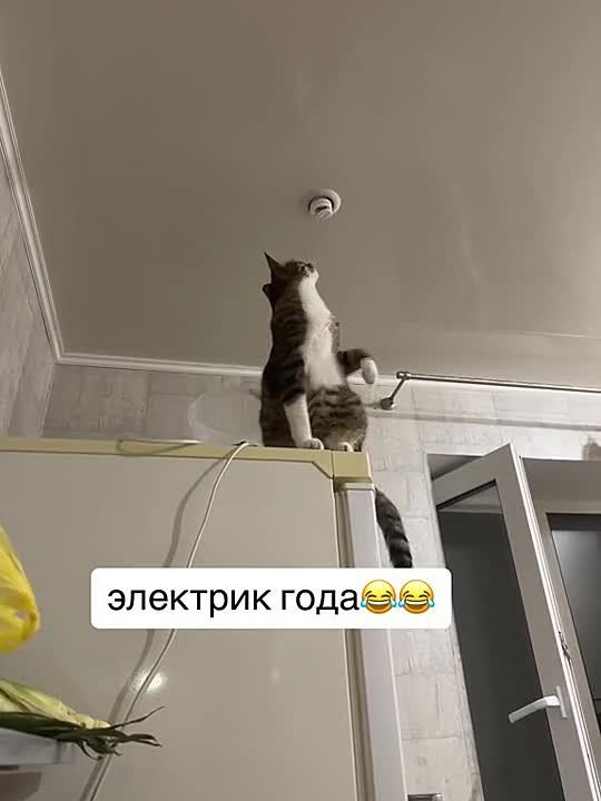 ������� �� ������...