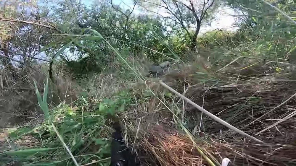 �������� ������: ����� ����� � ������ � ���������� ������������� �������, ����� ������� ������������� ��������������, ������� �� ������ ����� �� ������ �� ����� ����� ��� ����� ���������� ����������