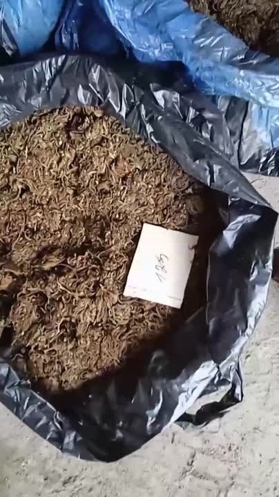 ����� � 59 �� ��������� ���������� ���������� ������� ���������� ������� � ������ ���������