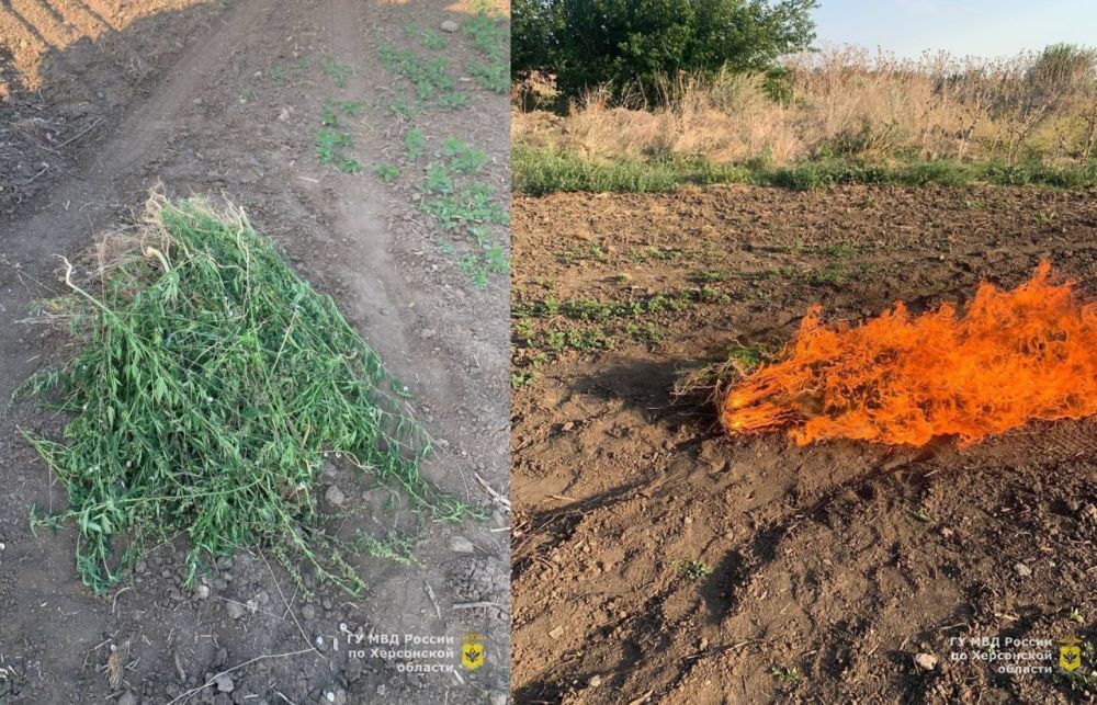 � ���� ������� ����� ���������� ������������ �������