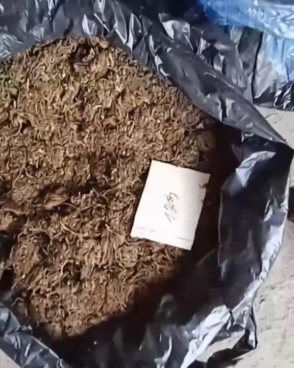 ����� � ������� ������� ��������� ��������� � ��������� � ��������������� ������������� �������������� ���������