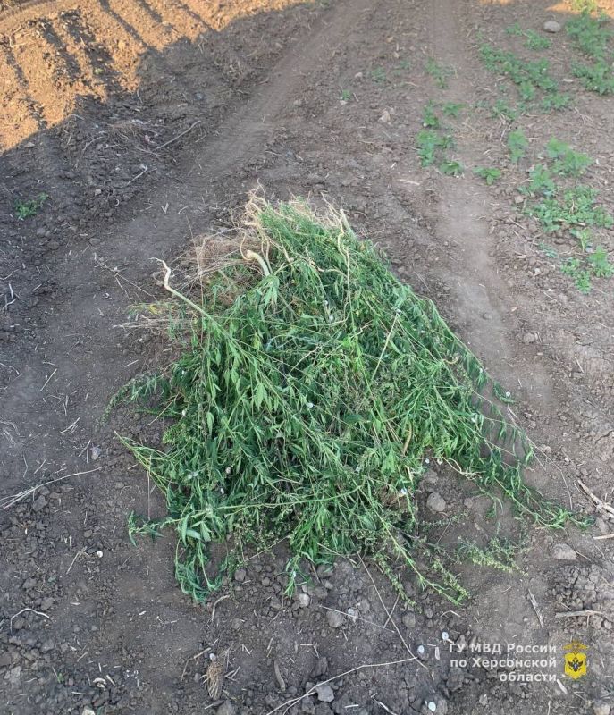 ������� ���������� ������� ���������� ������������ �������