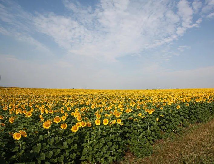 18 ������� � ���������� ������� �������� � �����