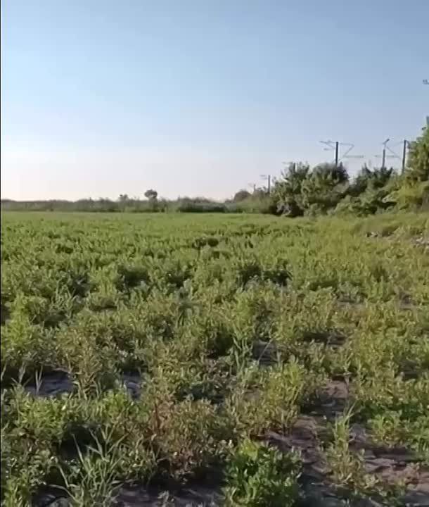 ��� ������ �������� ��������� �������������