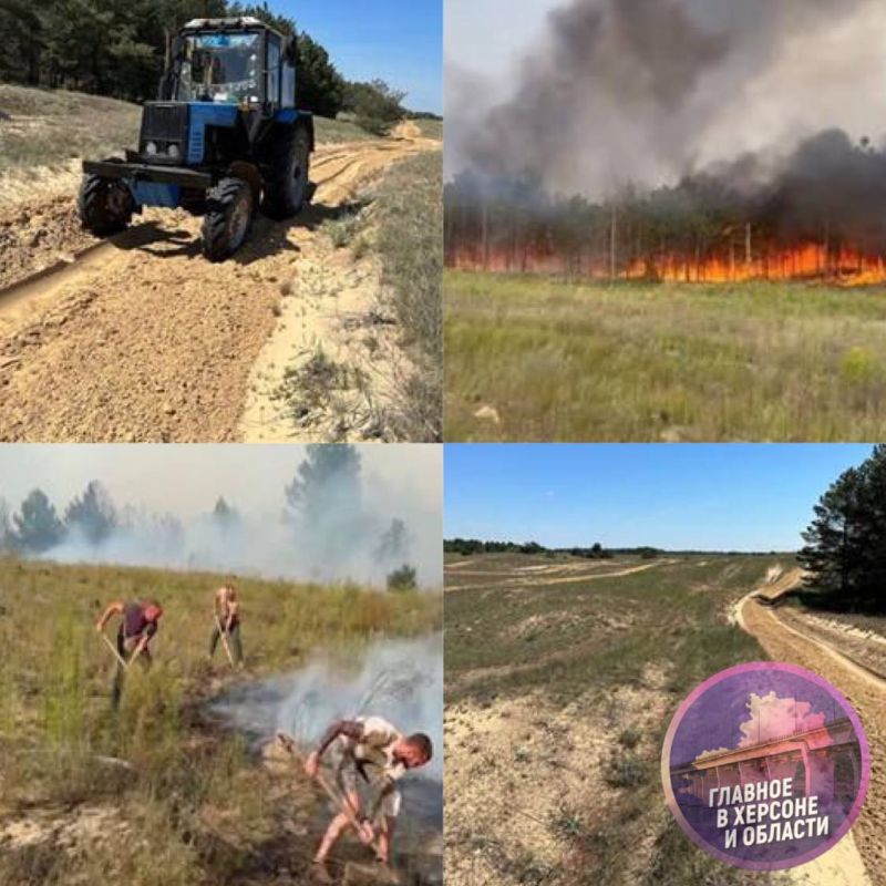 ���������� ���������������� ��������������� ��������� ���������� ������ �� �������������� �������