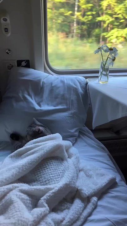 ������, �� ���������, �� ��� ���� � �������� ������������� ������, �� ������ ��?!