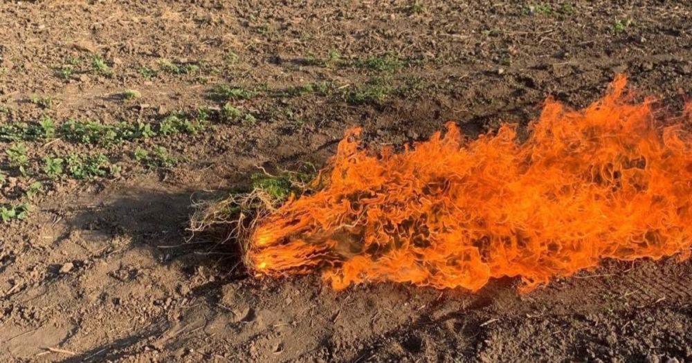 ������������ ������� ���������� � ���������� ������