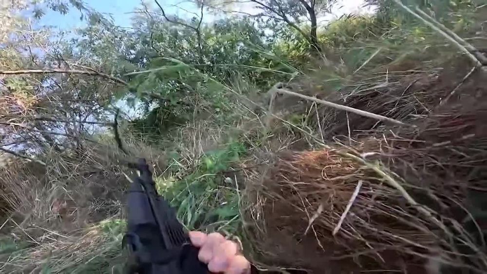 ��������� �������: �������� �������� ������� ����� � ����� �������������� ���, ������������ �������������� �� ����� ����� ������, ������� � ����� Telegram-������ ���� ����������� ���������� ������� �������� ������