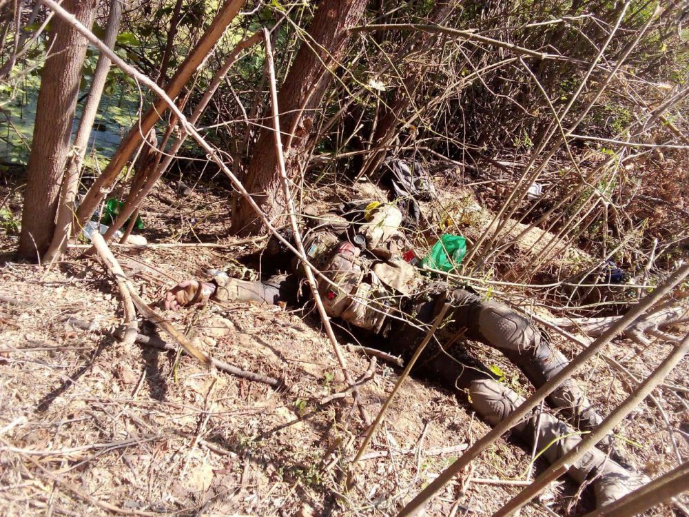 ������ ����� ��������� ���������� ������ � �������, ������� �� ������ �� �����