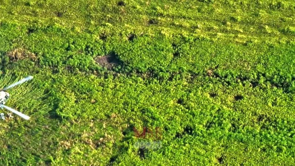 ˸���� ������� ��-52 ����������� ��� ��������