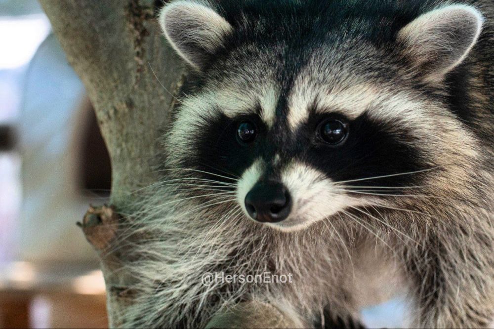 ���� �� �������: ������ ���� � �������� ���, ������!