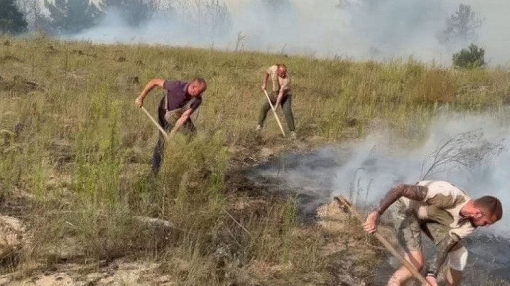 � ��������������� �������������� ��������� ������� ���������������� ������