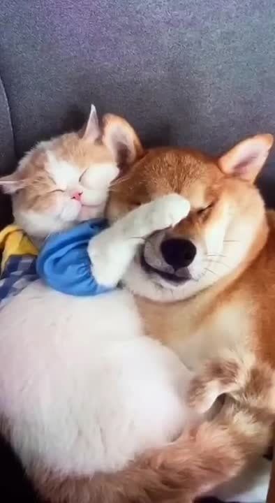 ����� ���� ��������� � ������...