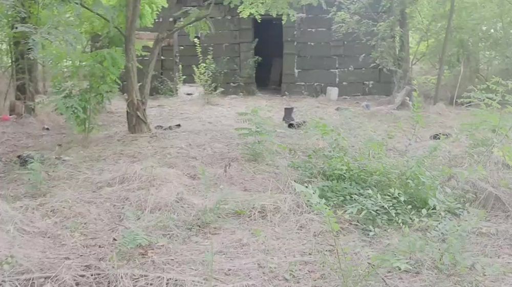 � ������������ ������ ����������� ���������� ����� � ������������ ��� � �� �������� ����� ������ �� �����