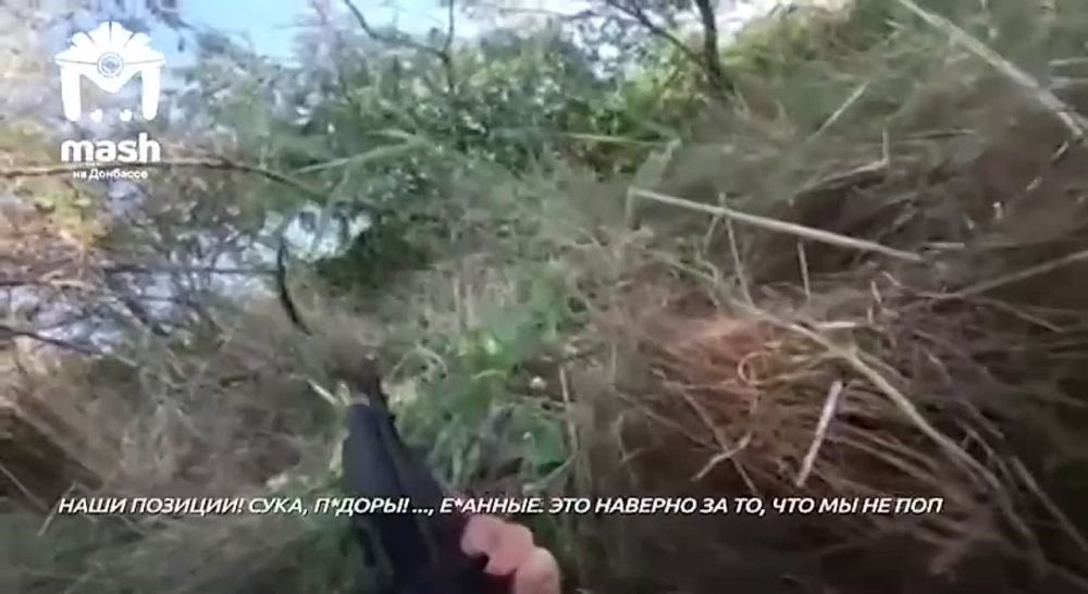 ������� �����. ���������, ������� ���������� ����������� �����, ������������� �����������