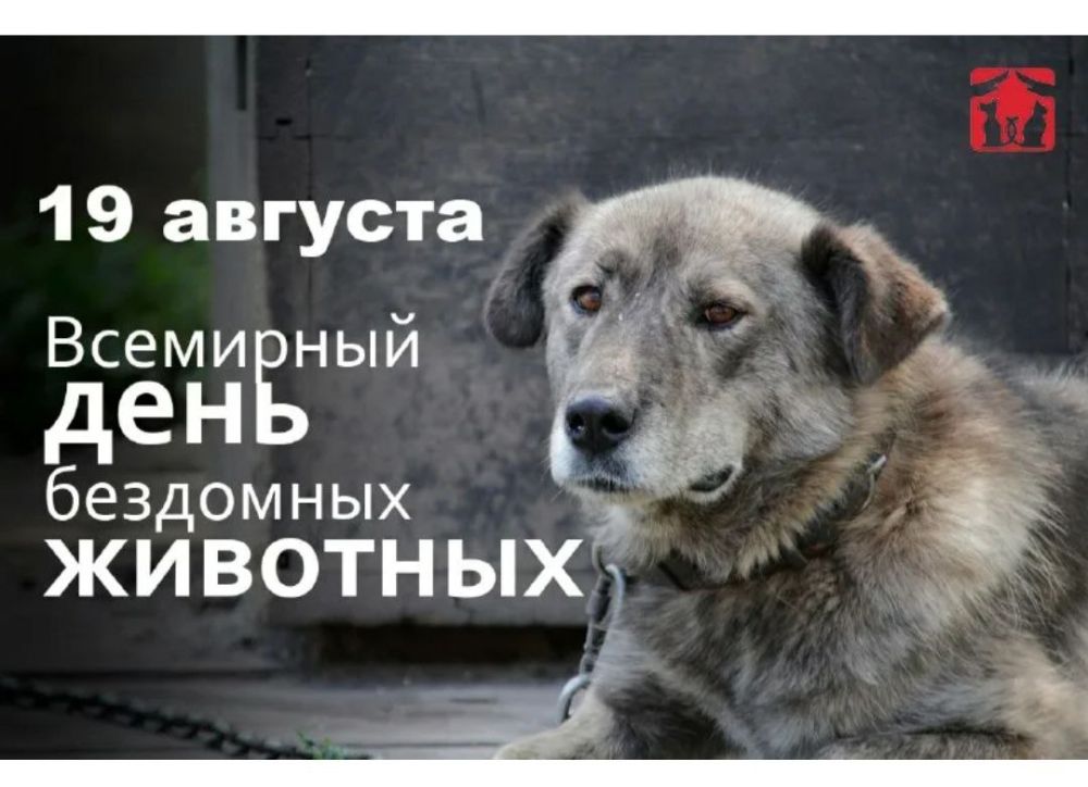 19 ������� ��������� ���� ��������� ��������