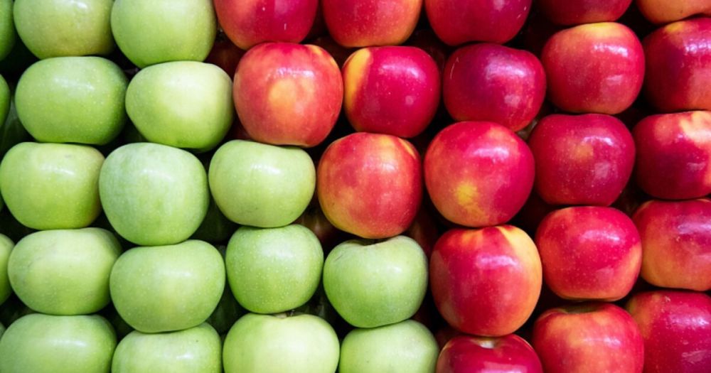 ������ ���������� ������� �������� ������������ ��������