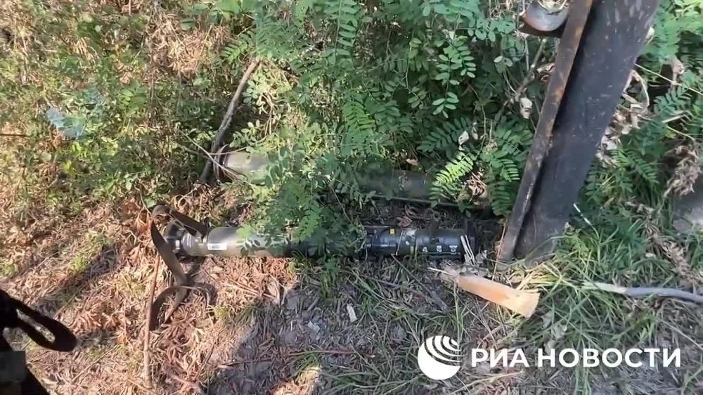 ����� �� ������ �������� ������� � ���������� �������, ������� ������������� ������� ������� ����������� �������� ����� ������� �� ��� �����