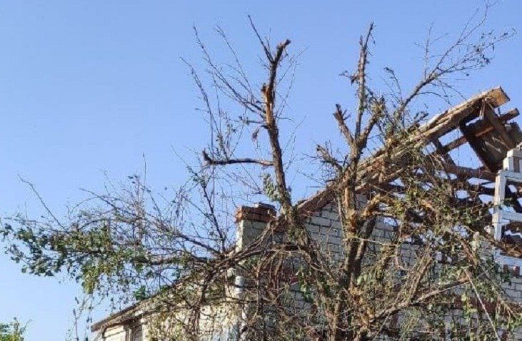 � ���������� ������� �������� ��� �� ������ ������������ ������������������� � ���� ���������� ������� �������������� ������ ���������� ������ �����, �������� ����� 19 ������� ������������� ������