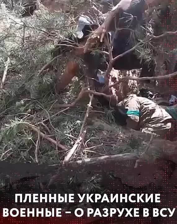 ����� ����� ������������ � ����������� � ������� ������� � ������� � ����� ���