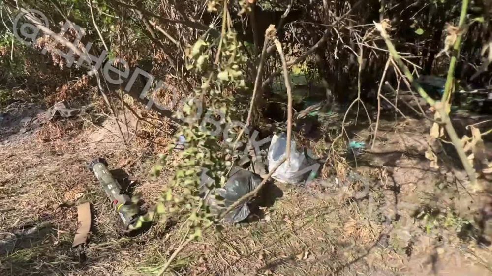 "���� � �������� ������� ������������, �� �� � ��������