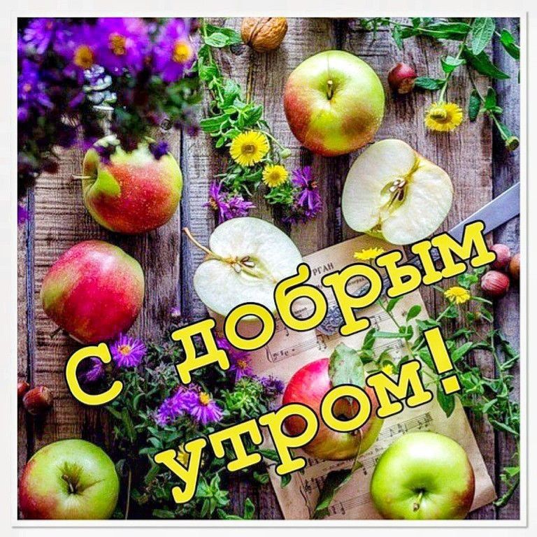 ������ ����, ��������� ���!