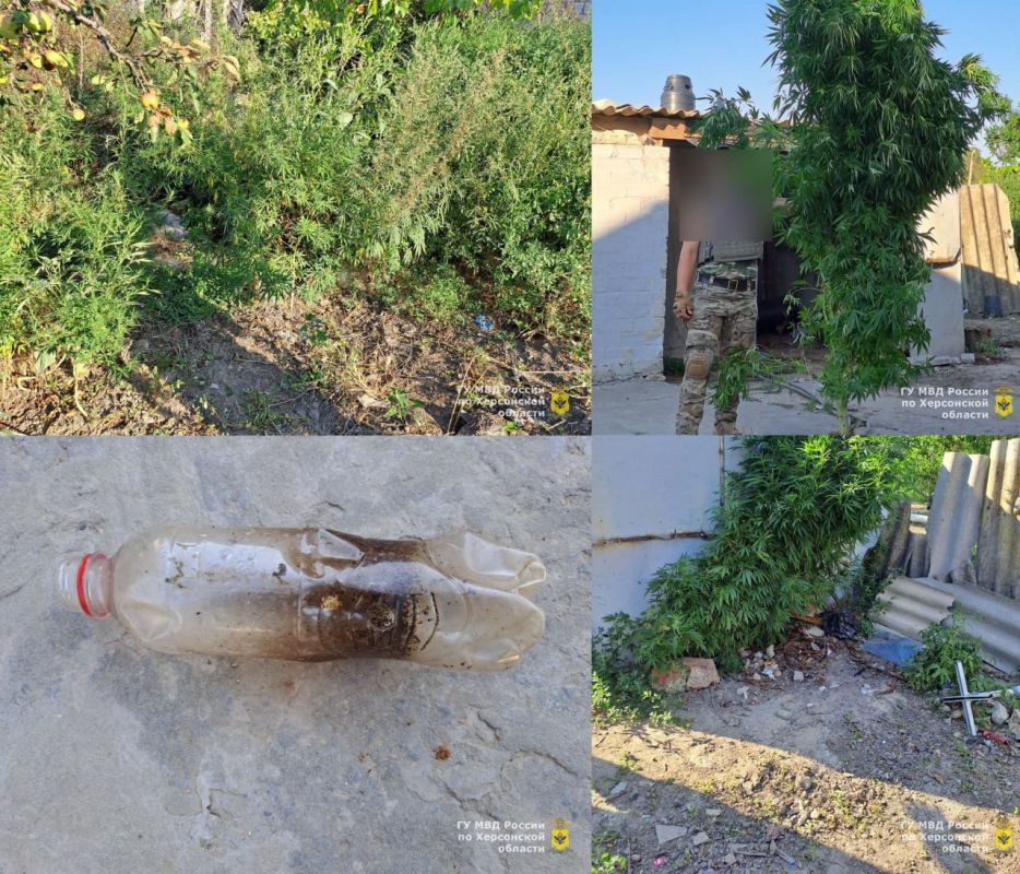 � �������� ������ ��������� ������ ��������� � ����� ��������������� �������