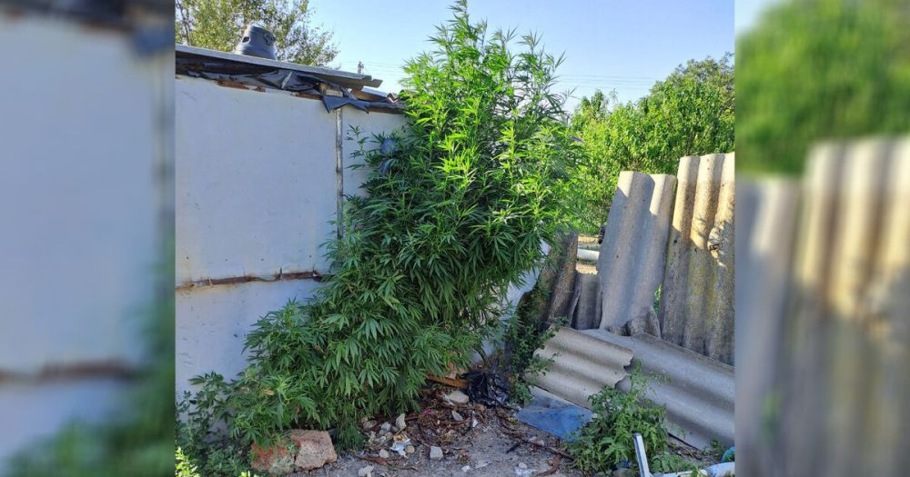 ������ ���������� ������ ��������� �� ������� ����� 50 ������ �������