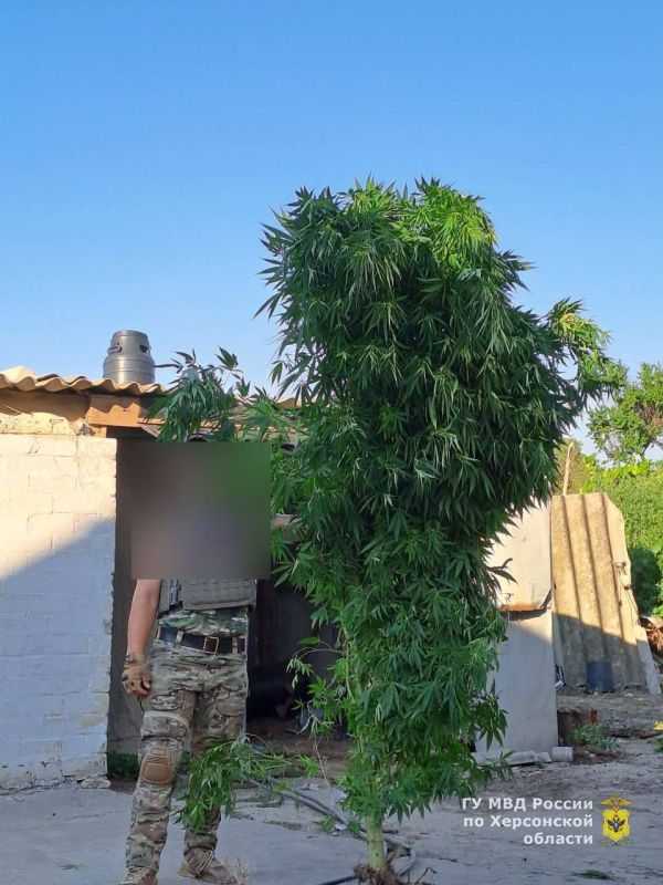 ����������� ������ 48 ������ ������� � ������ ���������