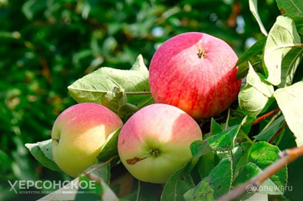 � �������� ��������� ����� �������� ���������������� ��������� � ���������� ������ ������