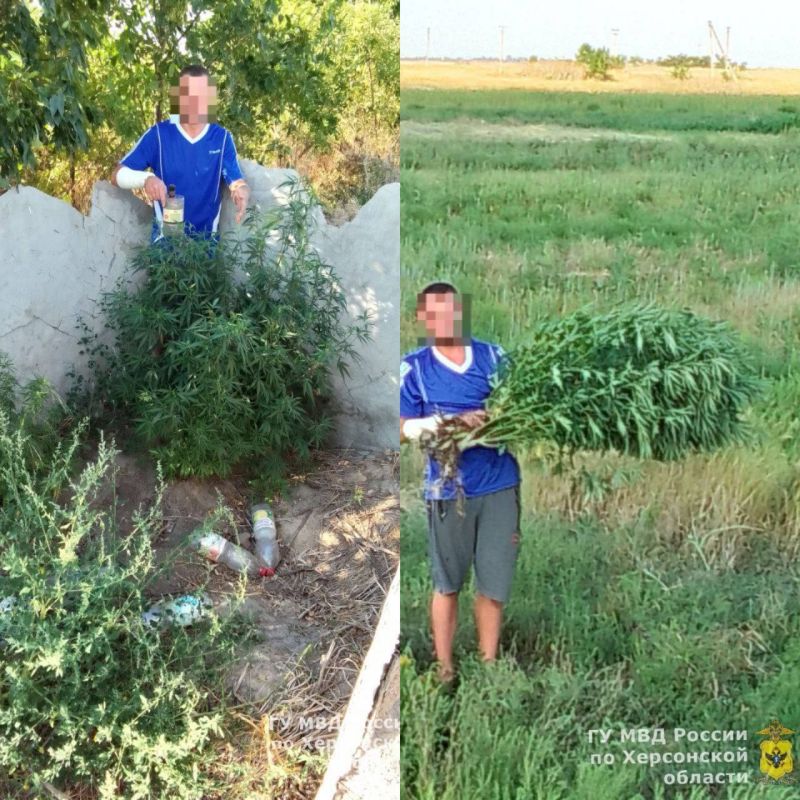 � ������ ���� ��������� ��������������� ������ ���� ������ �������