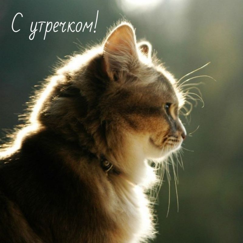 ������ ����. ������� ����� ������ � ������� ����� ����������� �� ���������� ����� ���. ��� �������. ����������� �� +21 ����� �� +37 ����