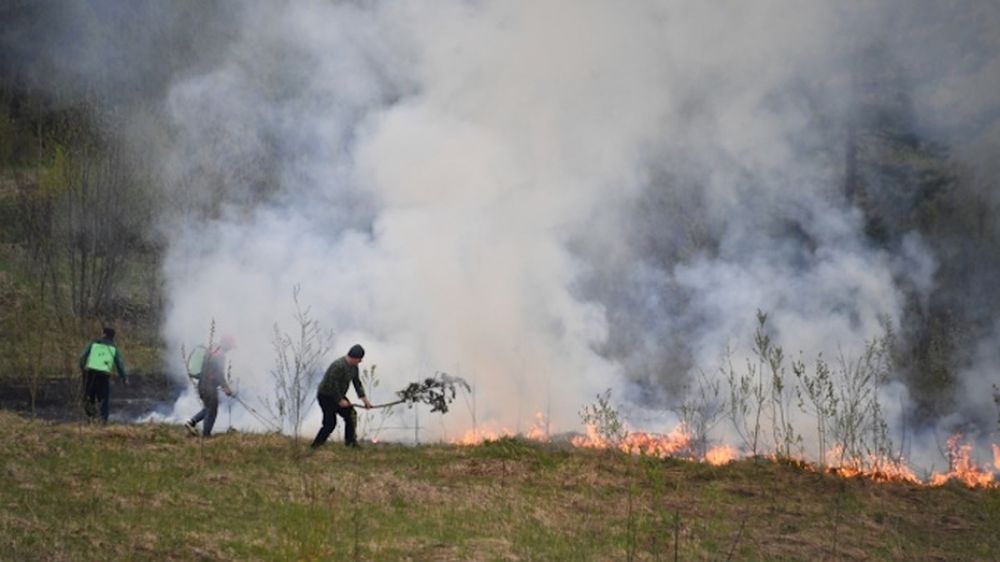 � ������ ��� ���� ������� ����� �������� ��� ������� 40 ��