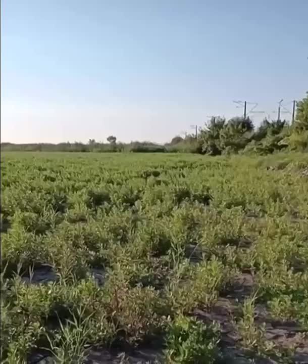 � ���� ��������� ����� ����������� ��������� ��� �� ������