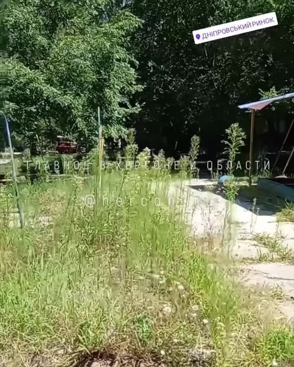 ��� ����-����� � �������������� ����� ������ ������ � ��������, ������� ������������� �� ��������� ���������